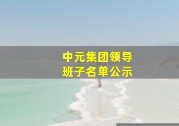 中元集团领导班子名单公示