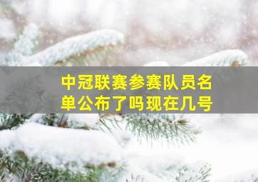 中冠联赛参赛队员名单公布了吗现在几号