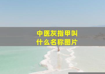 中医灰指甲叫什么名称图片