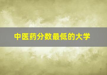 中医药分数最低的大学