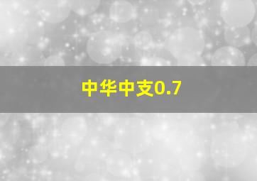 中华中支0.7