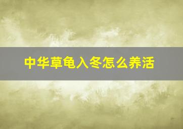 中华草龟入冬怎么养活