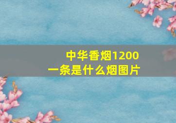 中华香烟1200一条是什么烟图片