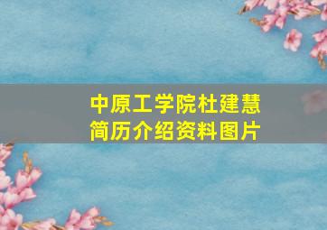 中原工学院杜建慧简历介绍资料图片