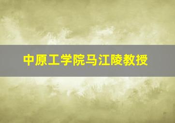 中原工学院马江陵教授