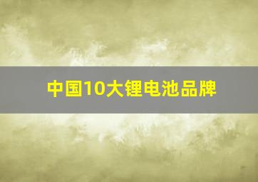 中国10大锂电池品牌