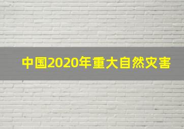 中国2020年重大自然灾害