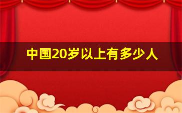 中国20岁以上有多少人