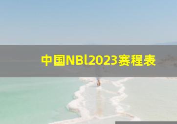 中国NBl2023赛程表