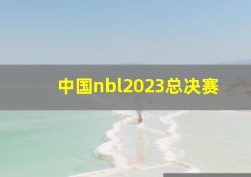 中国nbl2023总决赛