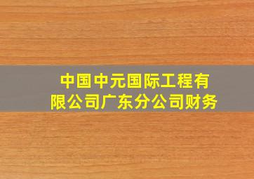 中国中元国际工程有限公司广东分公司财务