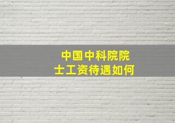 中国中科院院士工资待遇如何