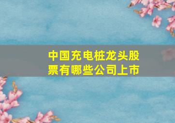 中国充电桩龙头股票有哪些公司上市