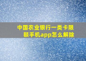 中国农业银行一类卡限额手机app怎么解除