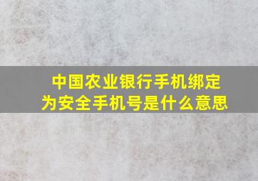 中国农业银行手机绑定为安全手机号是什么意思