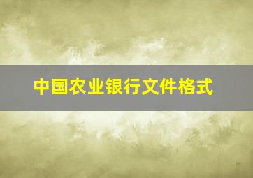 中国农业银行文件格式