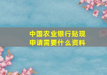 中国农业银行贴现申请需要什么资料