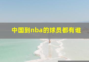 中国到nba的球员都有谁