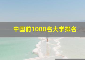 中国前1000名大学排名