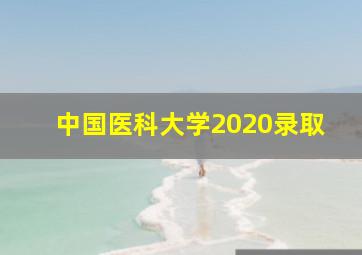 中国医科大学2020录取