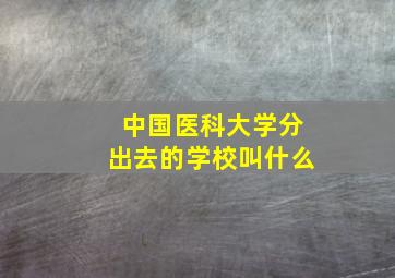 中国医科大学分出去的学校叫什么