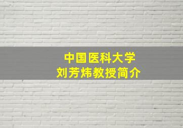 中国医科大学刘芳炜教授简介