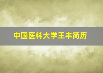 中国医科大学王丰简历