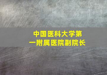 中国医科大学第一附属医院副院长