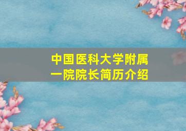 中国医科大学附属一院院长简历介绍