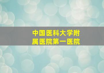 中国医科大学附属医院第一医院