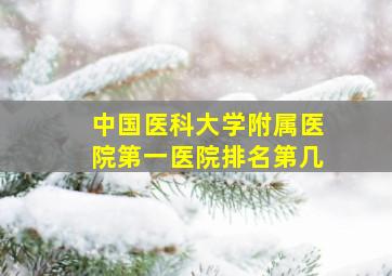 中国医科大学附属医院第一医院排名第几