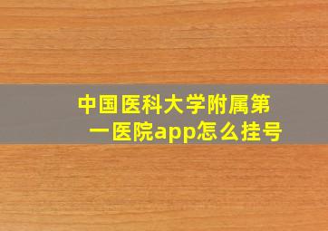 中国医科大学附属第一医院app怎么挂号