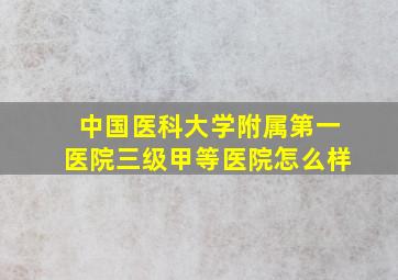 中国医科大学附属第一医院三级甲等医院怎么样