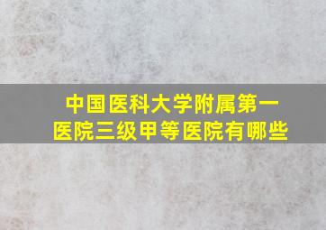 中国医科大学附属第一医院三级甲等医院有哪些