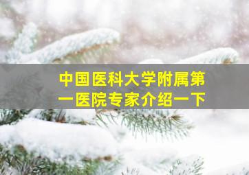 中国医科大学附属第一医院专家介绍一下