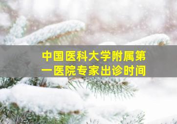 中国医科大学附属第一医院专家出诊时间