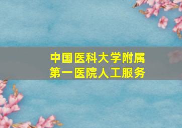 中国医科大学附属第一医院人工服务