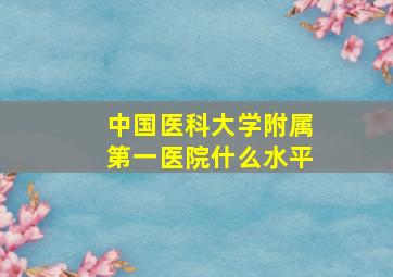 中国医科大学附属第一医院什么水平