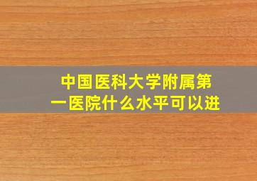 中国医科大学附属第一医院什么水平可以进