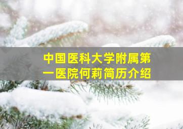 中国医科大学附属第一医院何莉简历介绍