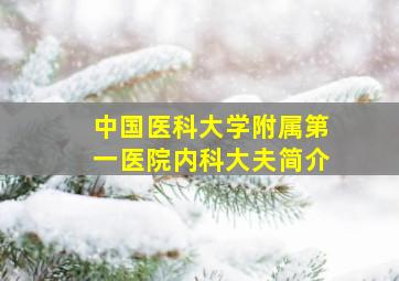 中国医科大学附属第一医院内科大夫简介