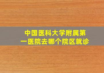 中国医科大学附属第一医院去哪个院区就诊