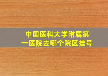 中国医科大学附属第一医院去哪个院区挂号