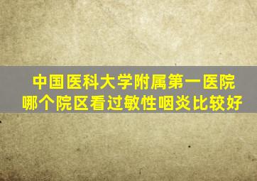 中国医科大学附属第一医院哪个院区看过敏性咽炎比较好