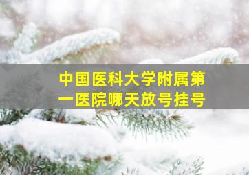 中国医科大学附属第一医院哪天放号挂号