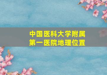 中国医科大学附属第一医院地理位置