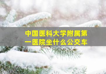 中国医科大学附属第一医院坐什么公交车