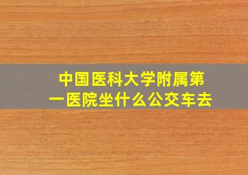 中国医科大学附属第一医院坐什么公交车去