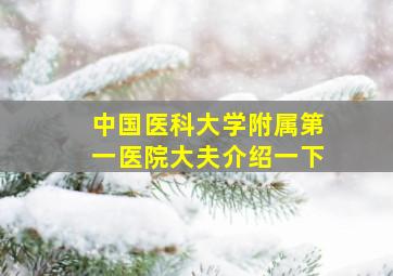 中国医科大学附属第一医院大夫介绍一下