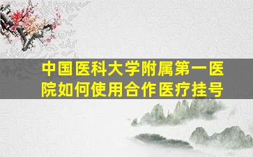 中国医科大学附属第一医院如何使用合作医疗挂号